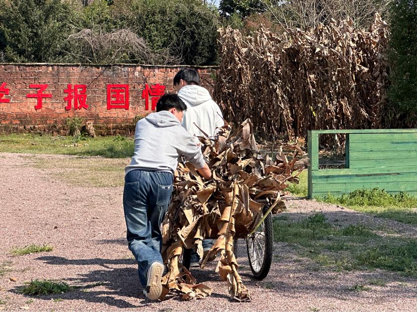  绿动青春，共绘美丽校园——鹰潭东望教育基地植树节校园美化活动
