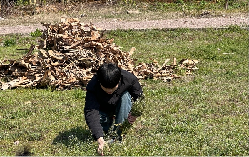  绿动青春，共绘美丽校园——鹰潭东望教育基地植树节校园美化活动